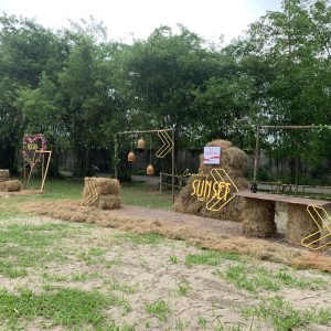 Prudential event outdoor - Ảnh 7